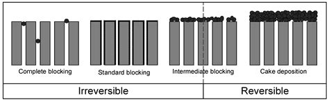 Efficient Separation of a Novel Microbial Chassis, Vibrio natriegens ...
