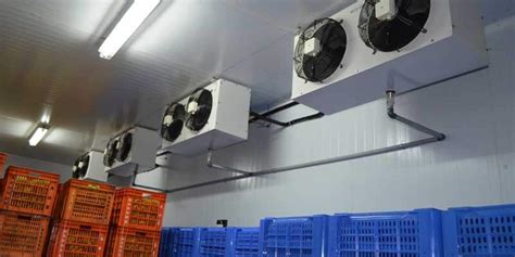 Banana Cold Room | Fruit Ripening Room | Mechair