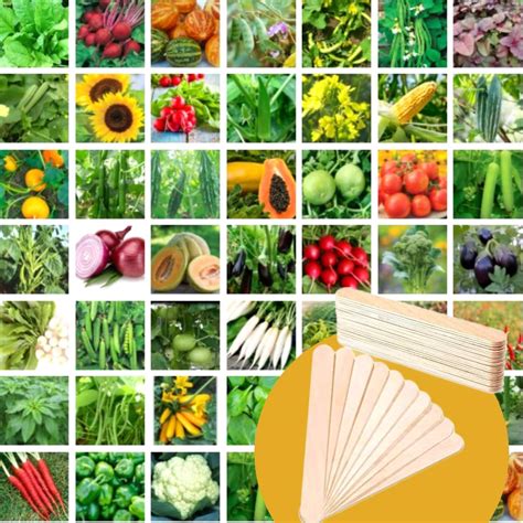 Joycity 45 Varieties Of Vegetable Seeds Combo (3000+ Seeds) & Pack Of ...