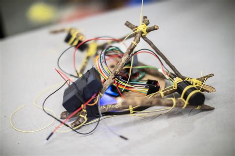 A robot made of sticks | Penn Today