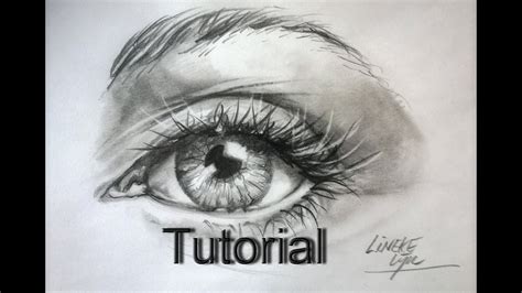 Image result for Graphite Drawing for Beginners