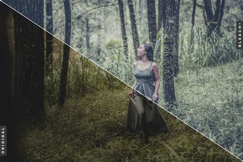Best Matte Lightroom Presets – MasterBundles