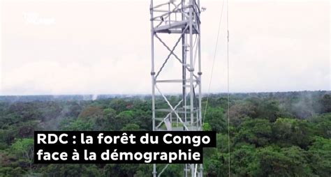 VIDÉO. RDC : la forêt du Congo face à la démographie | TV5MONDE ...