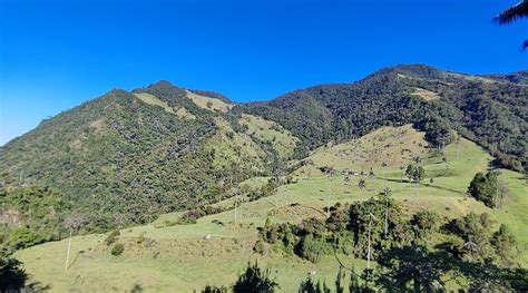 PINO HERMOSO RESERVA NATURAL - Resort Reviews, Photos, Rate Comparison ...