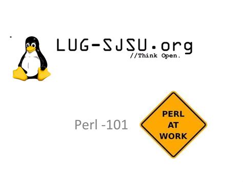 Perl Programming Language Basics 的图像结果