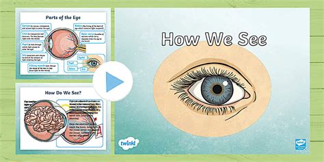 How We See PowerPoint