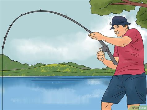 Image result for How to Basic Fish