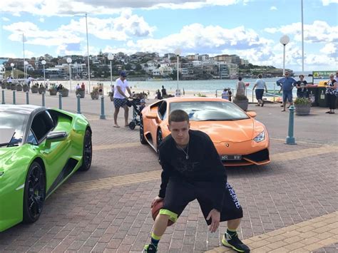 Professor Live Tutorials 的图像结果