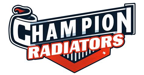 Image result for Champion Radiators Fan Control Module