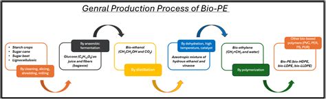 Bio-based Synthetic Polymers: Insights into Innovation, Applications ...