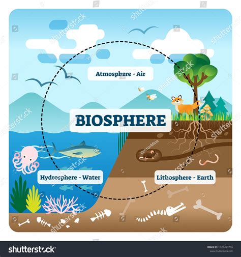 Biosphere vector illustration. Labeled all natural ecosystems with ...