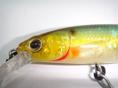 Shop ENTICER Cassan Lures In Goa | Casa Ibrahim