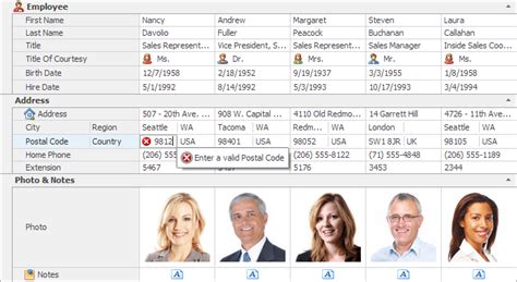 DevExpress Validation Rules DataGrid JavaScript 的图像结果