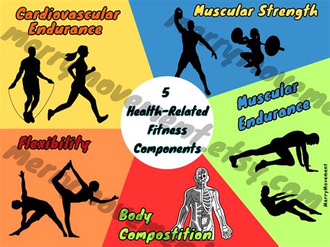 Health-related and Skill-related Fitness Components Poster| Gym Fitness ...