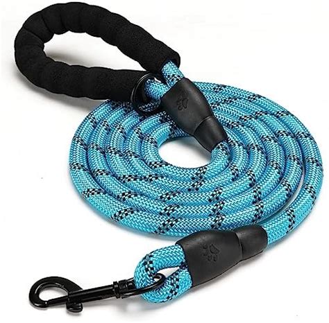 Foodie Puppies Dog Training Walking Leash Rope - (Nylon Leash - 22mm ...