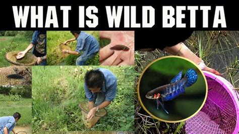 Image result for Problem Based Learning Children