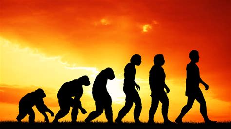 Image result for Evolutionary Biology Explained