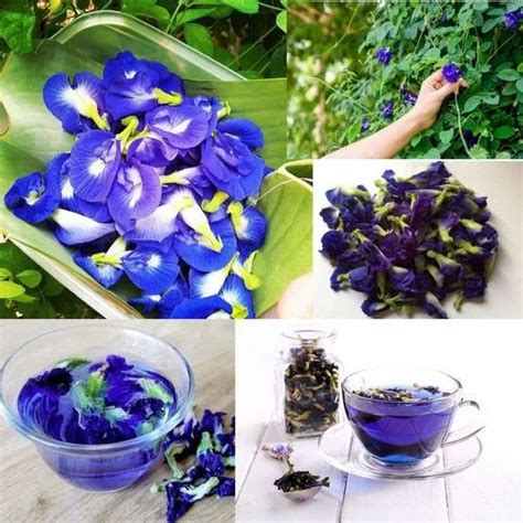 Natural Dried Edible Flowers And Dried Leaves - Organic Thyme Leaves ...