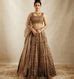 Buy Latest Brown Color Lehenga Choli Online at Best Price – Joshindia