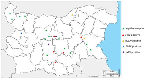 Molecular Detection and Phylogenetic Relationships of Honey Bee ...