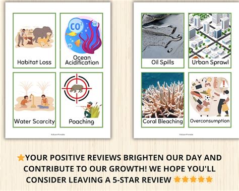 Environment Flashcard 的图像结果