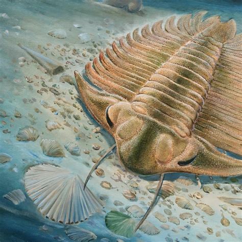 Ordovician Land Animals