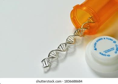 Image result for DNA and Computer Code
