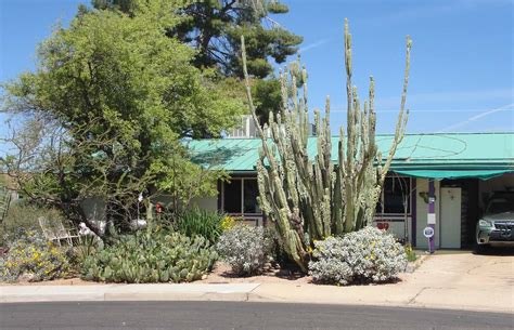 TOURS - Bee Oasis in Mesa - The Urban Farm