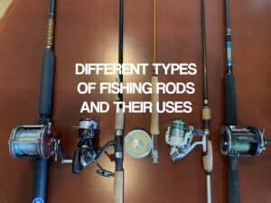 Image result for Fishing Rod Types