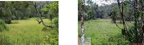 Press Release:Press Information Bureau