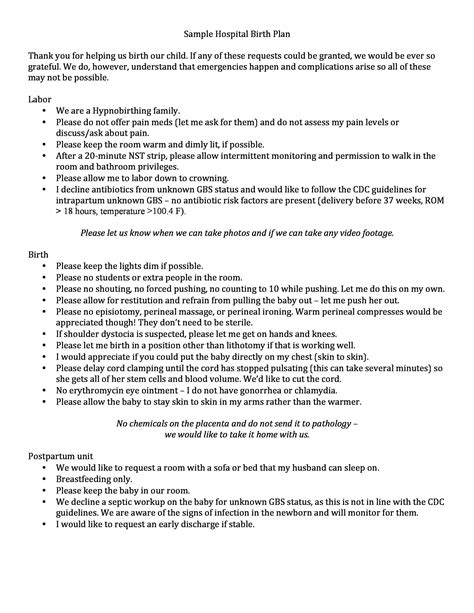 47+ Printable Birth Plan Templates [Birth Plan Checklist] - Template Lab