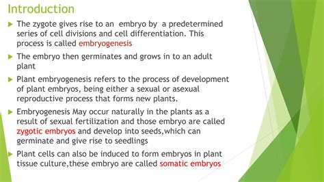 Image result for Embryogenesis Process