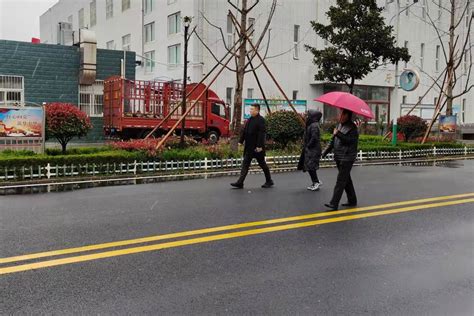 菏泽市定陶区清华园学校扎实做好雨雪天气学校安全工作_教育