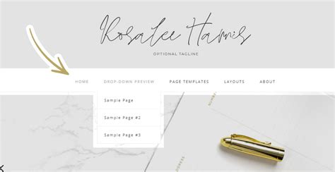 Image result for Drop Down Menu Sample