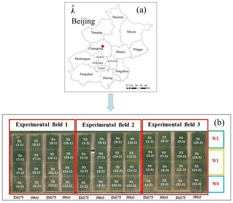 Comparison of Winter Wheat Yield Estimation Based on Near-Surface ...