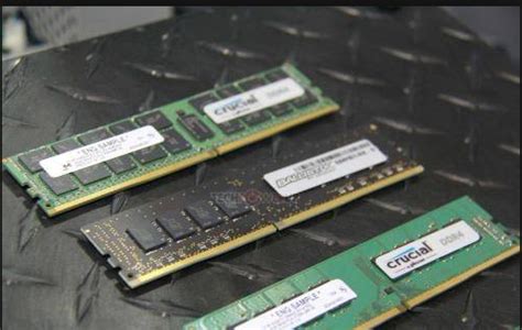 4 Key Components of a Server: CPU, Memory, Hard Disk & RAID Card ...