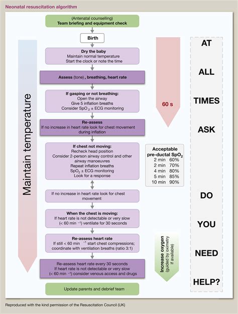Resuscitation of the newborn - Obstetrics, Gynaecology and Reproductive ...