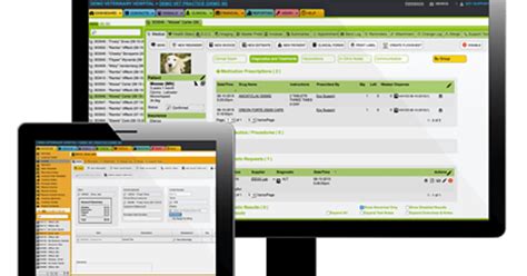 Ezyvet Tutorial Bundle 的图像结果
