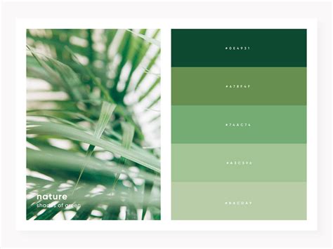 Green 的图像结果