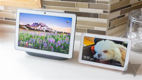 Nest Hub Tutorial 的图像结果