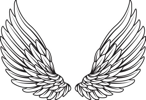 Angel Wings Vector at GetDrawings | Free download