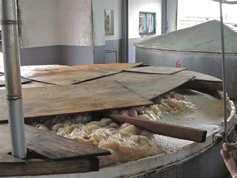 Το λάιφσταϊλ του μύκητα - BitterBooze