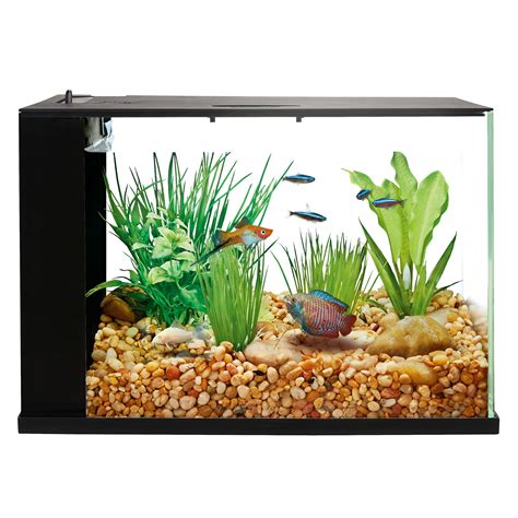 100 gallon fish tank petsmart store