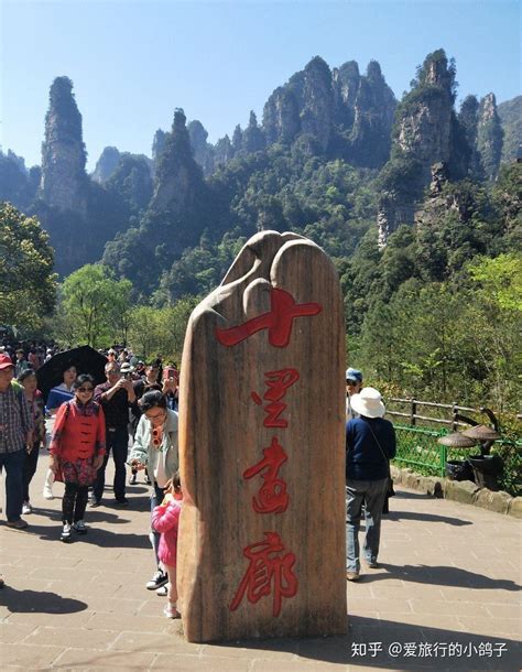 “五一”假期过半，张家界三大景区接待游客超8万人_湖南文旅_旅游频道