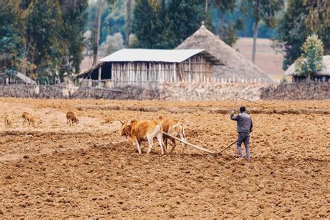 Listening to those in crisis: understanding perspectives on anticipatory action in Ethiopia