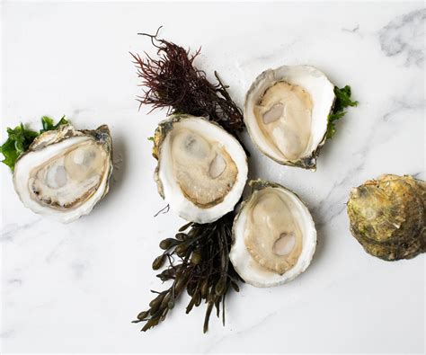 Oysters - Island Creek Oysters | Buy Oysters Online