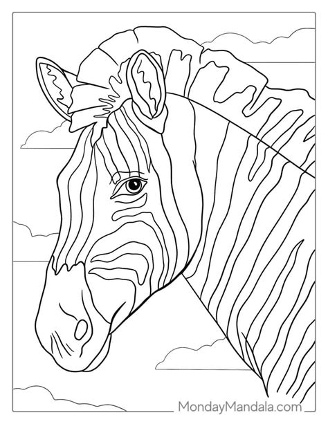 Image result for Zebra A4 Color Printer