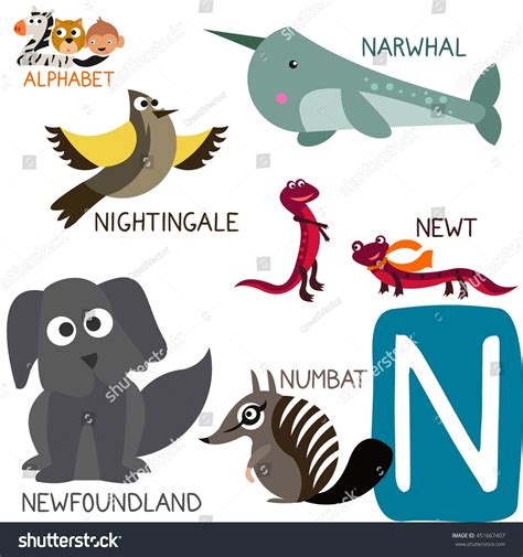 215 Newt Kids Coloring Images, Stock Photos & Vectors | Shutterstock