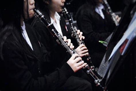Image result for Modern Orchestra Instruments