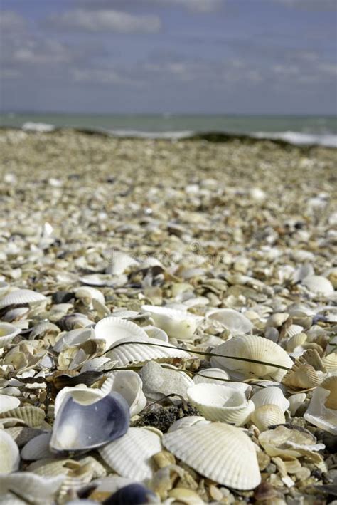 Sea Texture High Resolution 的图像结果